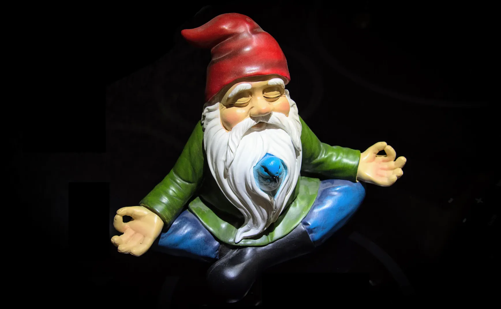 《猫的伏击》第15章：欢迎成为“伏击的大师”