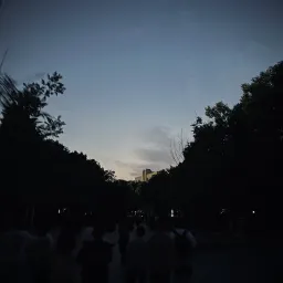 他人真的需要我的帮助吗？