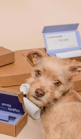 🚀 Cainiao Consolidation Shipping now offers package removal and reboxing, helping users save on shipping costs!