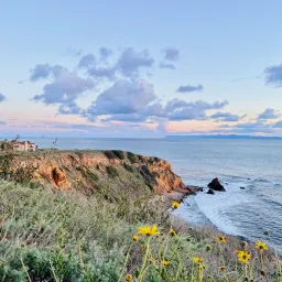 【解讀美股情緒】當離別開出花，它生長在懸崖 - 20260212