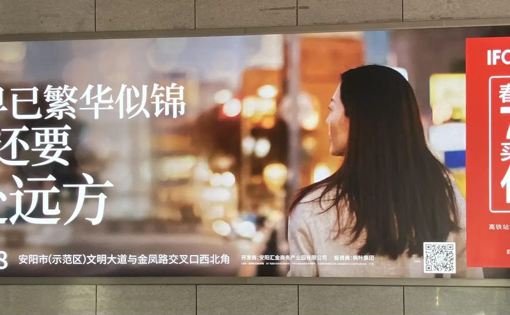一颗小树 #48 过年杂记
