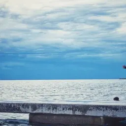 从小朋友的德语成绩是“堪称榜样”说起