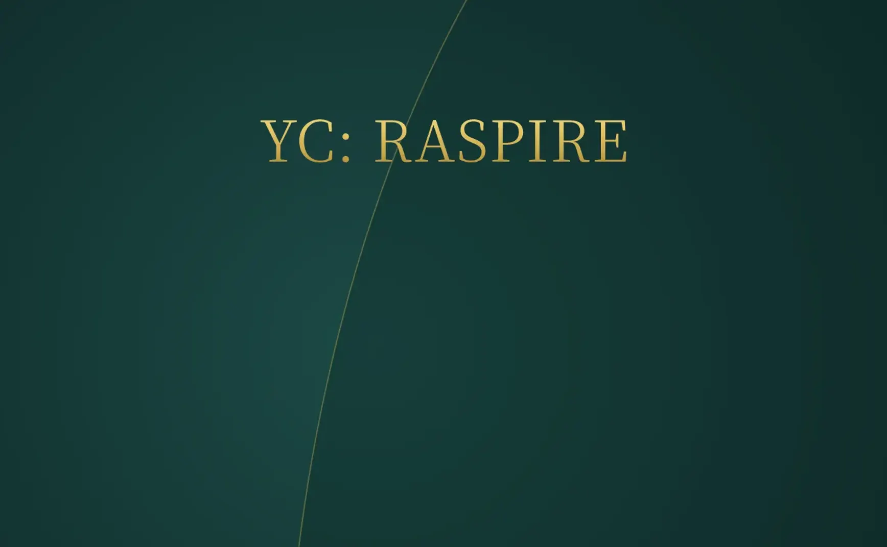 [付费深度] YC新贵RASPIRE：零代码加固App