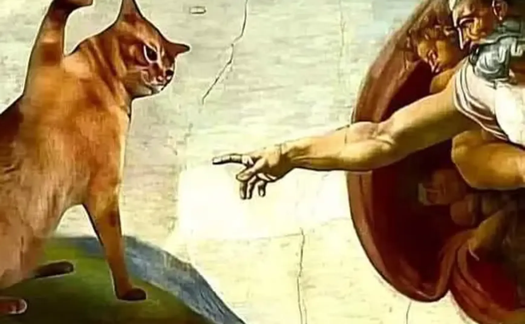 《智慧的元结构》章节大纲