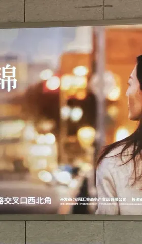 一颗小树 #48 过年杂记