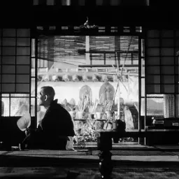 65. 秋，吃柿饼，落日红彤彤。