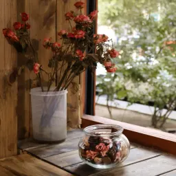 Semi-paranoid #53 有感无处发的近日