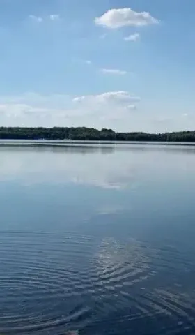 德国人如何反思纳粹——记一次烧烤闲聊