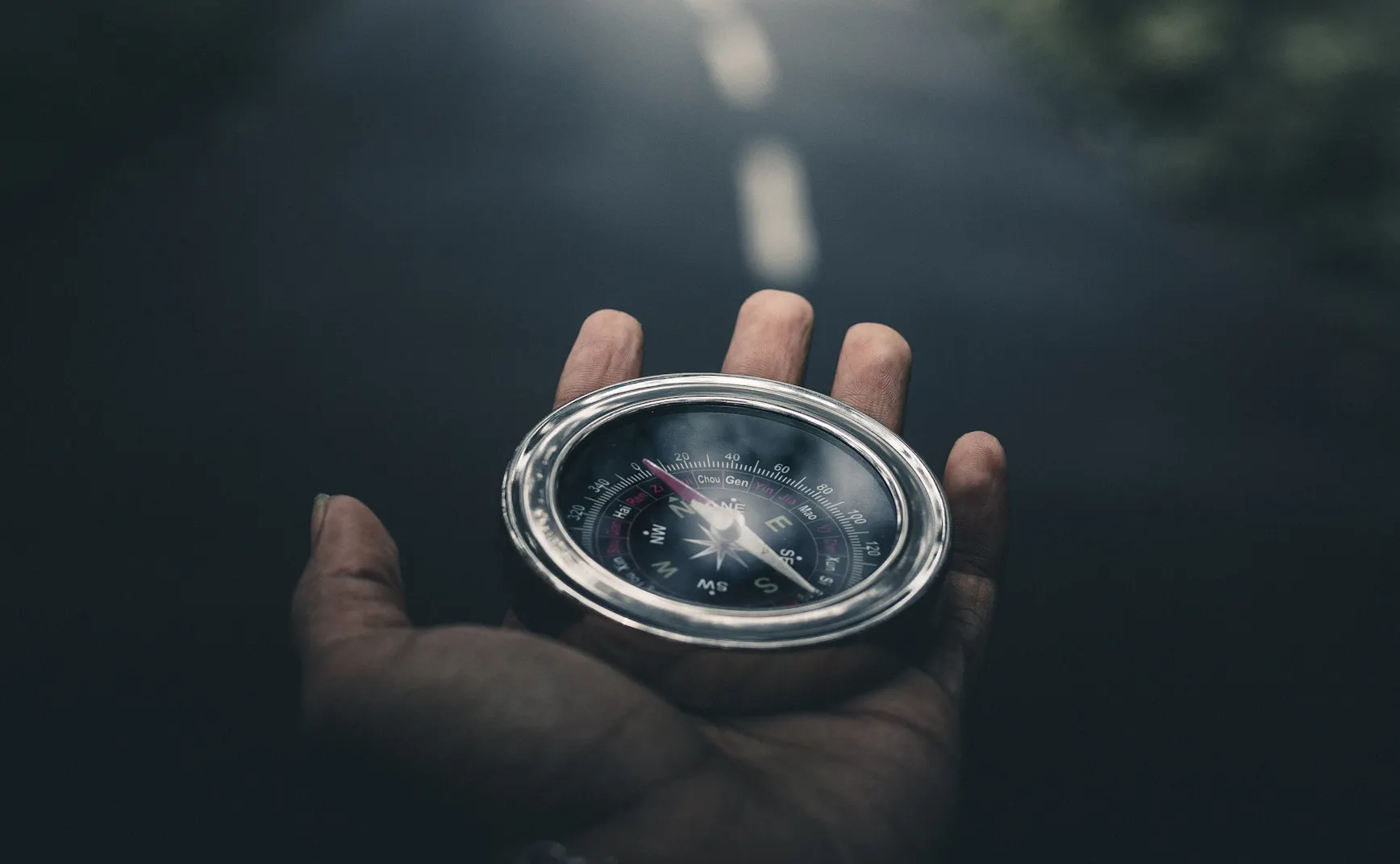 《猫的伏击》第8章：“罗盘”在手