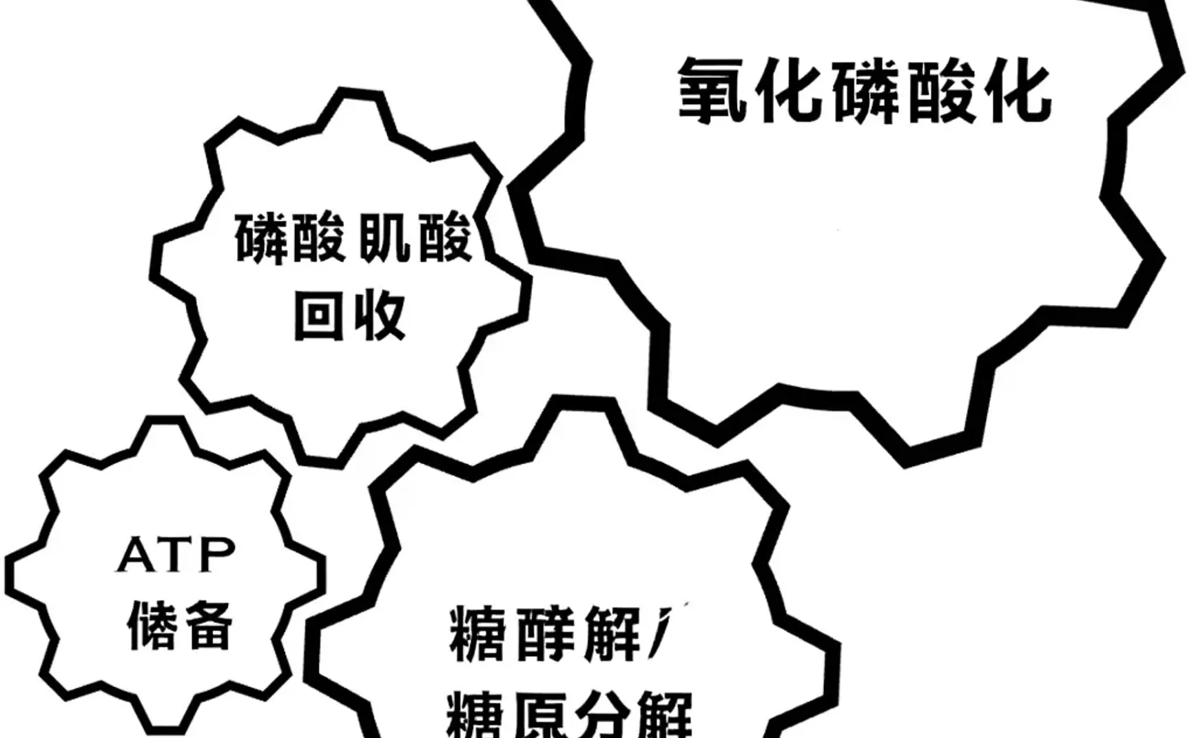 能源的 3 种途径