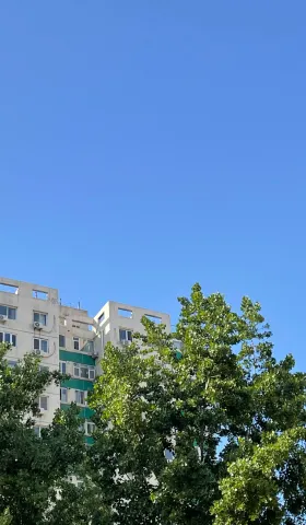 自说自话 #103 高考七年之后