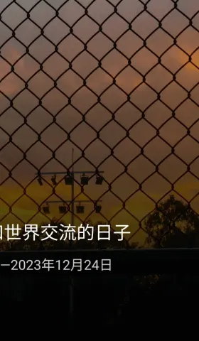 周报 #08 - 用写作来和世界交流的日子