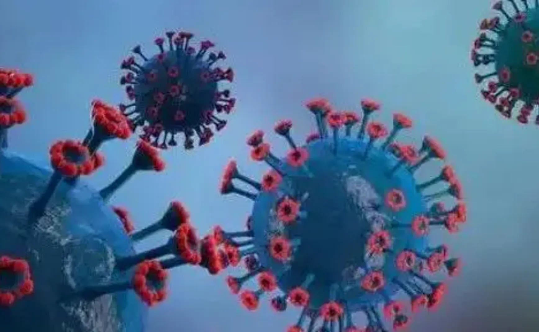 这一波感染快熬过去了，下一波怎么办？下一种病毒呢？