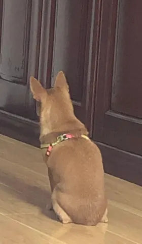 一些关于家的思考——2020年10月2日