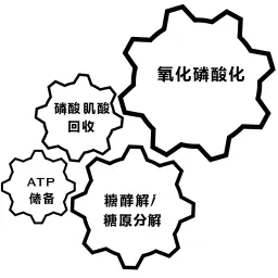 能源的 3 种途径