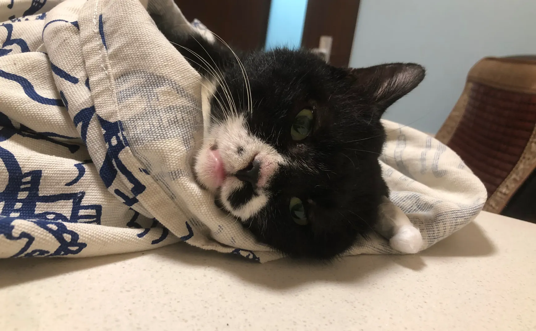 TNR装备升级，「八卦」候补成功