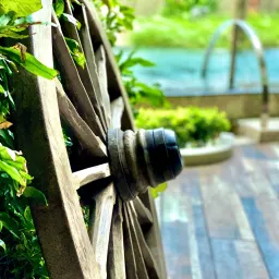 python基础-闰年和平年