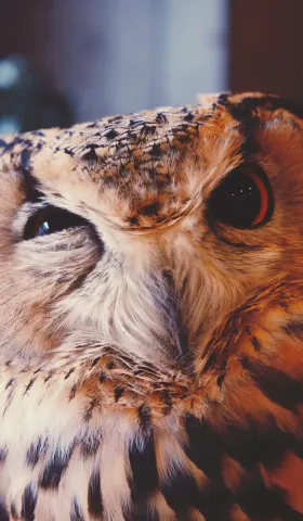 听凭好奇心的指引