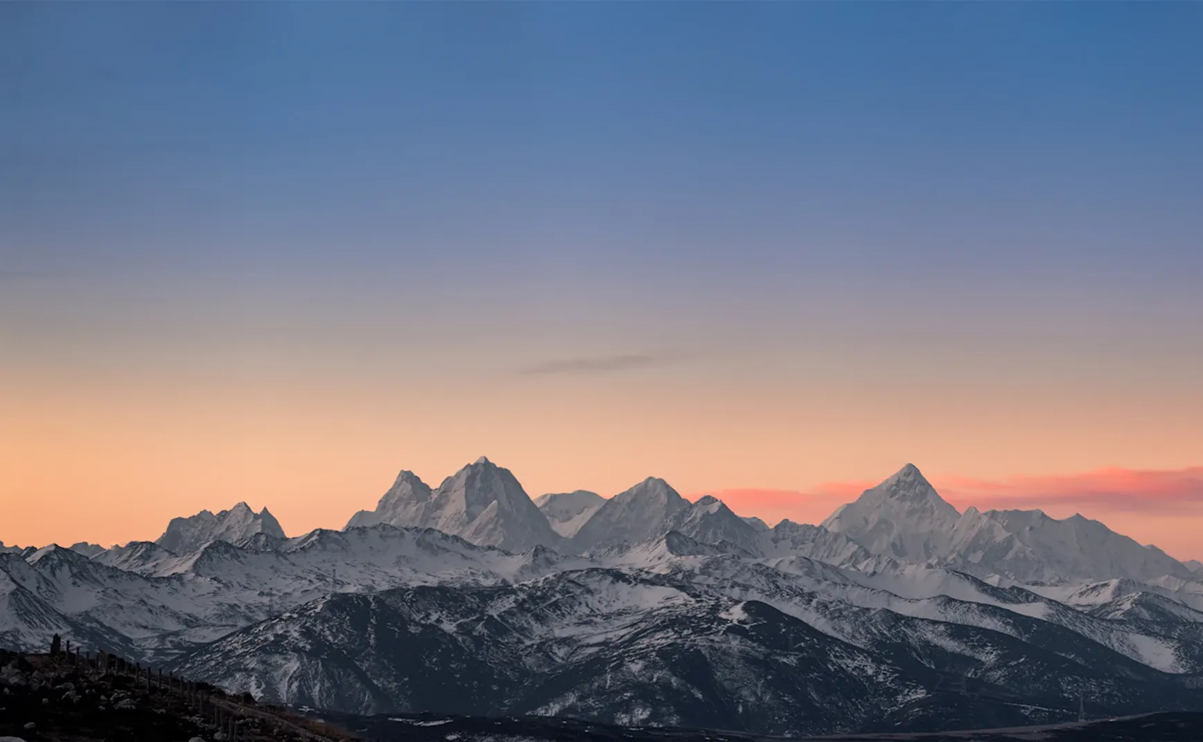 《猫的领地》第 12 章：峰值状态