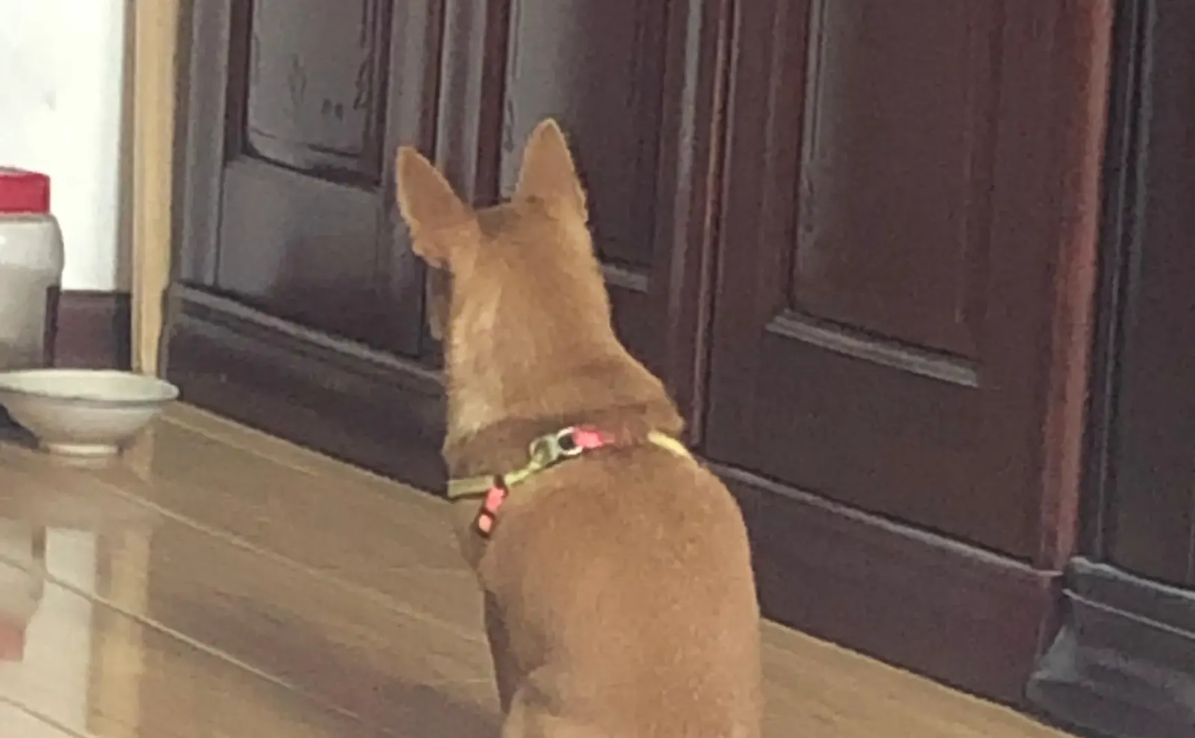 一些关于家的思考——2020年10月2日