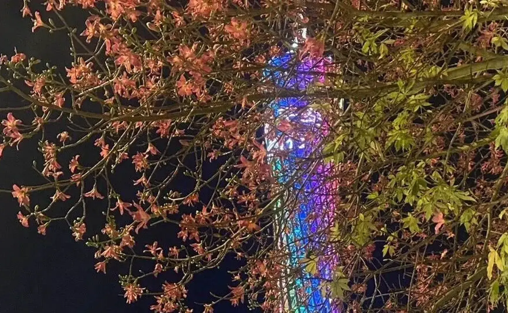 随机展示10条被我拉黑的评论