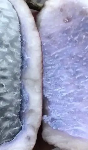 单基因阳性，可能是误检，也可能是病毒变异