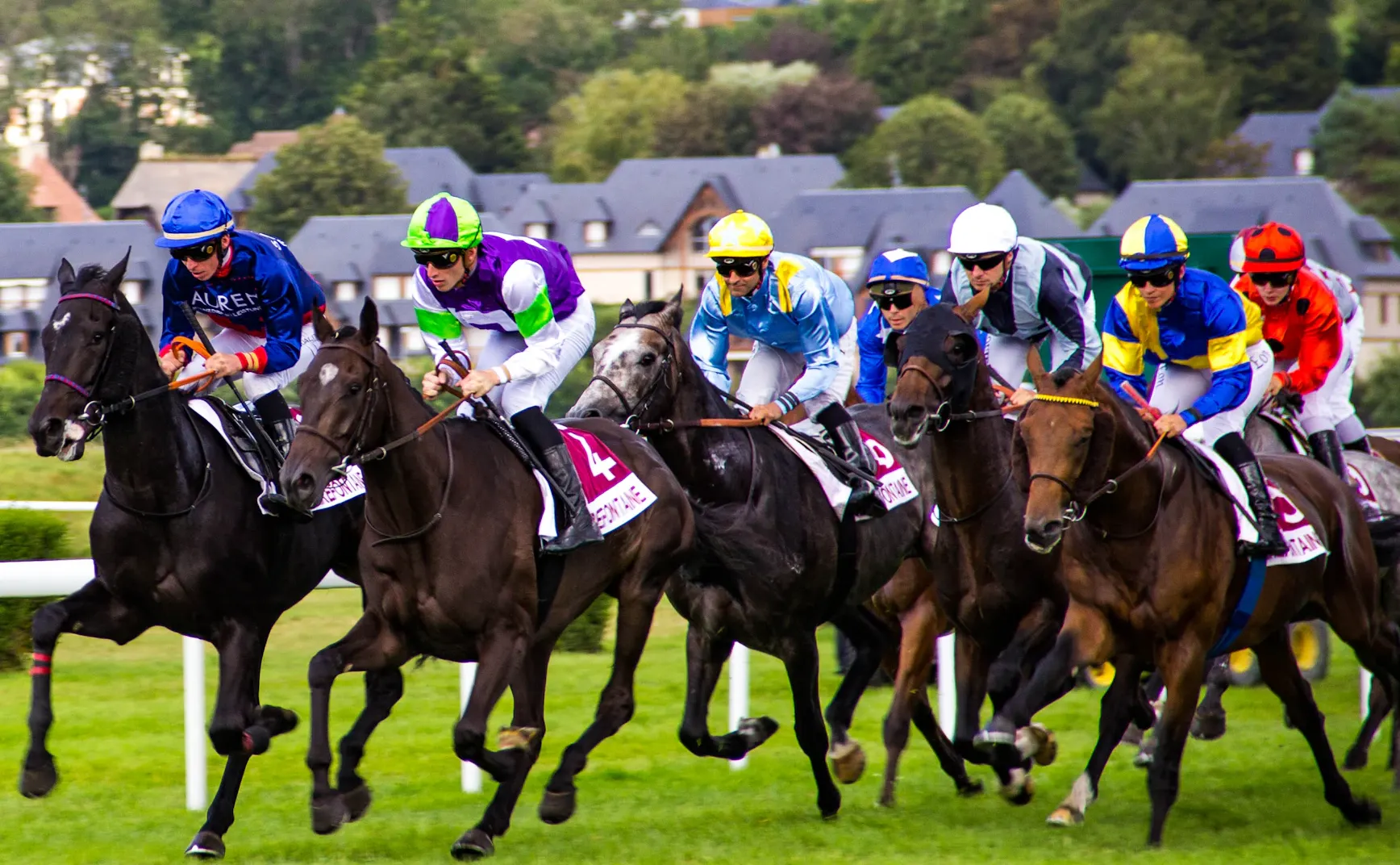 别让你的大脑变成别人思想的跑马场