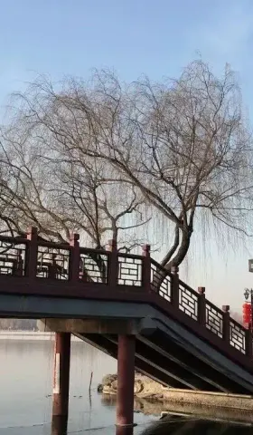要说好英语，不必纠结“口音”