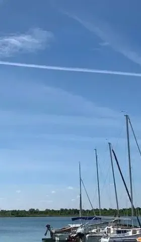 关于种族问题，谈点亲身经历