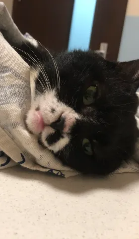 TNR装备升级，「八卦」候补成功