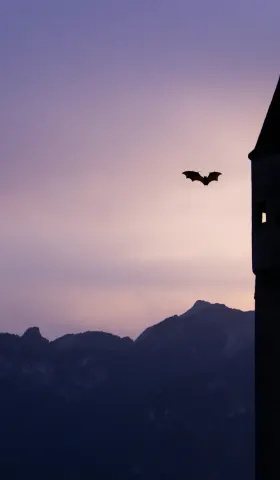 #11 当我们在讨论 AI 是否有意识时，我们在讨论什么？