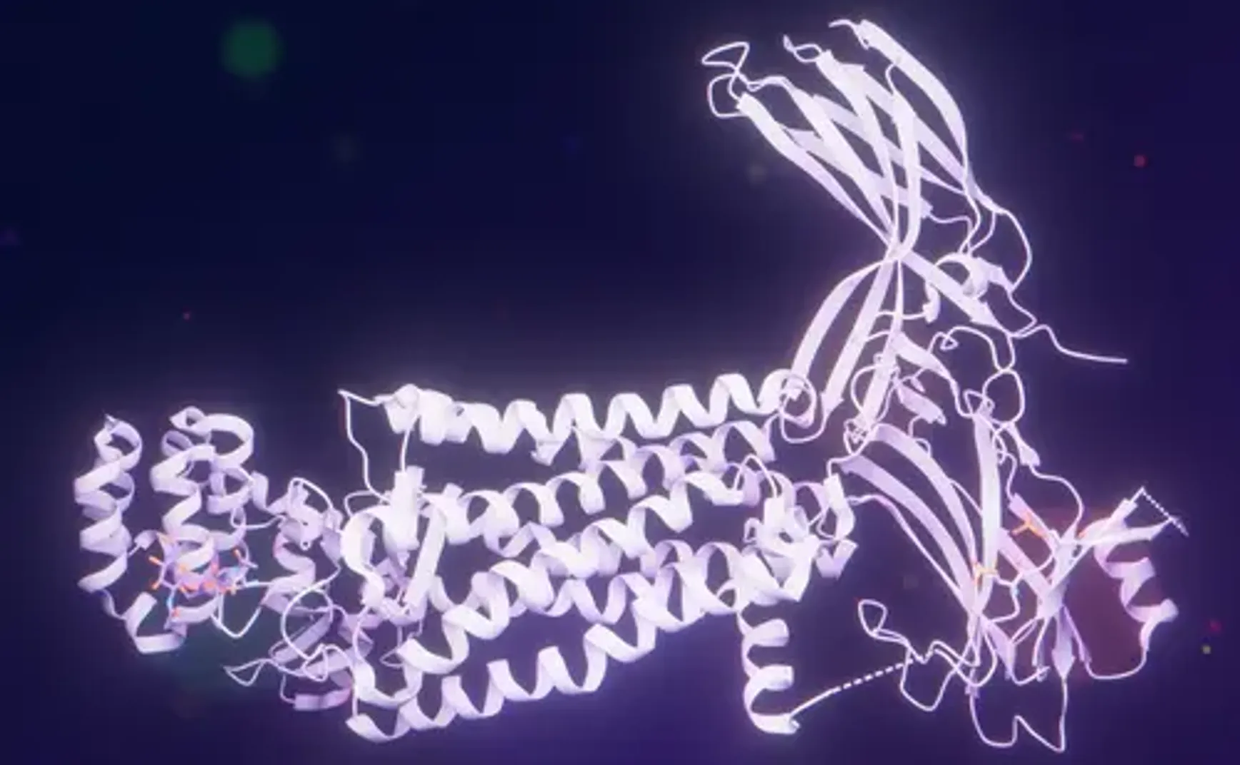 视紫红质：结构、成分与光信号捕捉