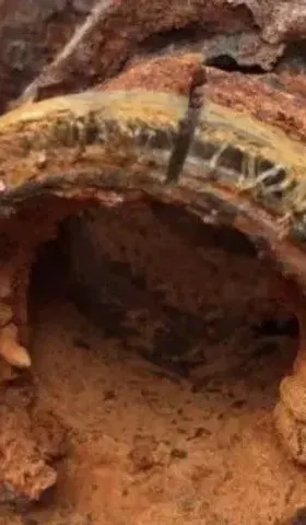 50多岁的自来水管，只怕承受不起河南官方的辟谣