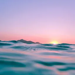 你好！Quaily！ 你好！新朋友！