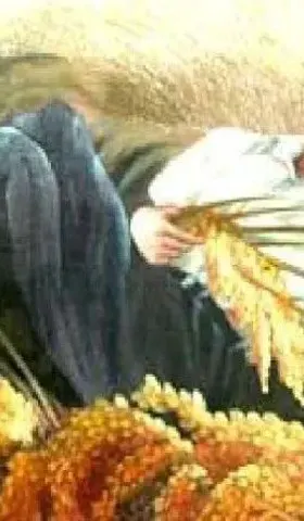 袁隆平的两个梦想还有机会实现吗？