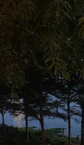 花生碎05: 来去散步