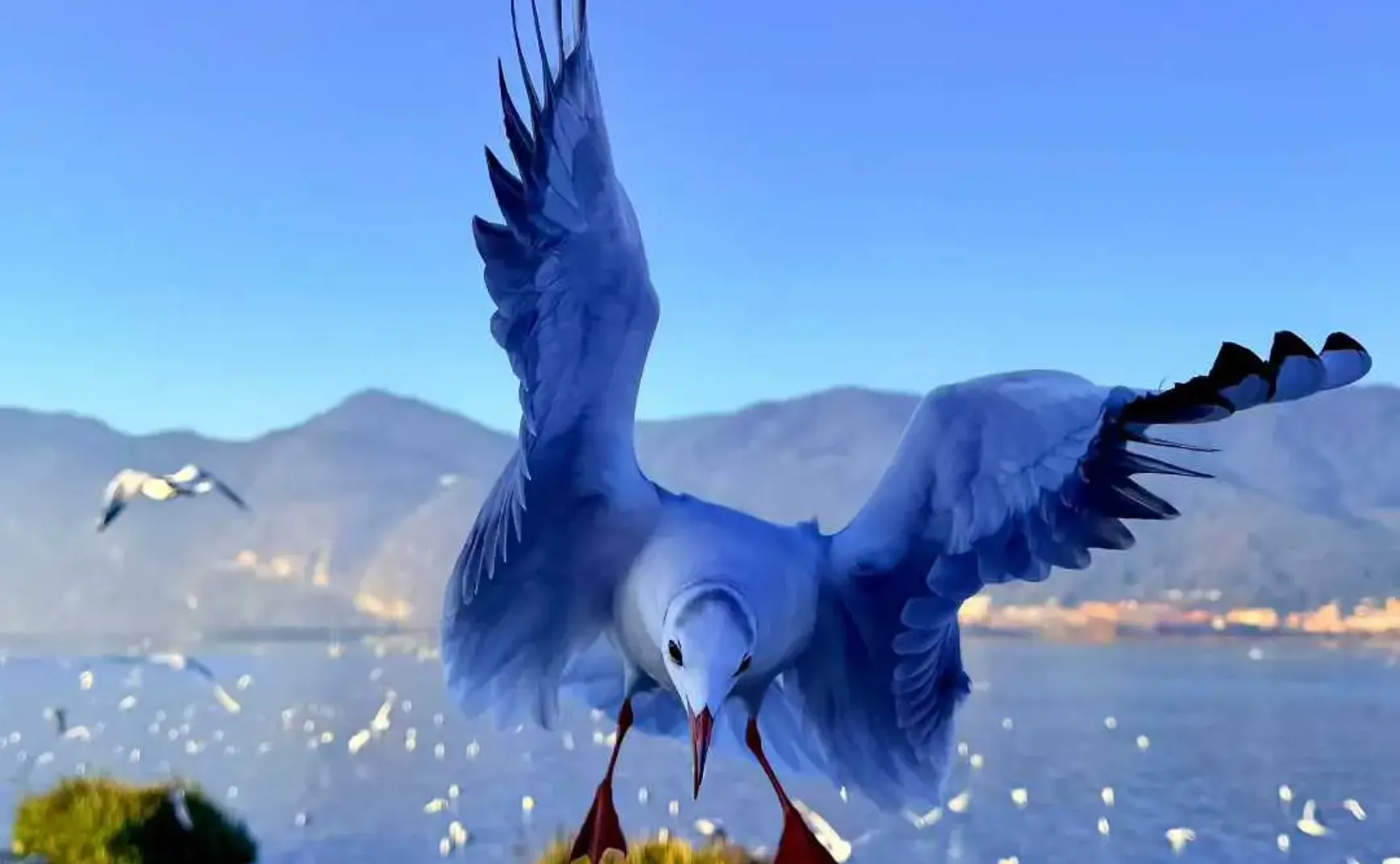 走过了很多地方，倒也没觉得累。