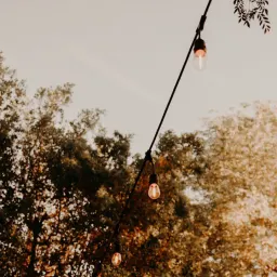 研究quail的发布机制