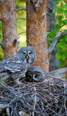 8月4日 | 聚焦奔驰亮证风波，科技文旅齐发力