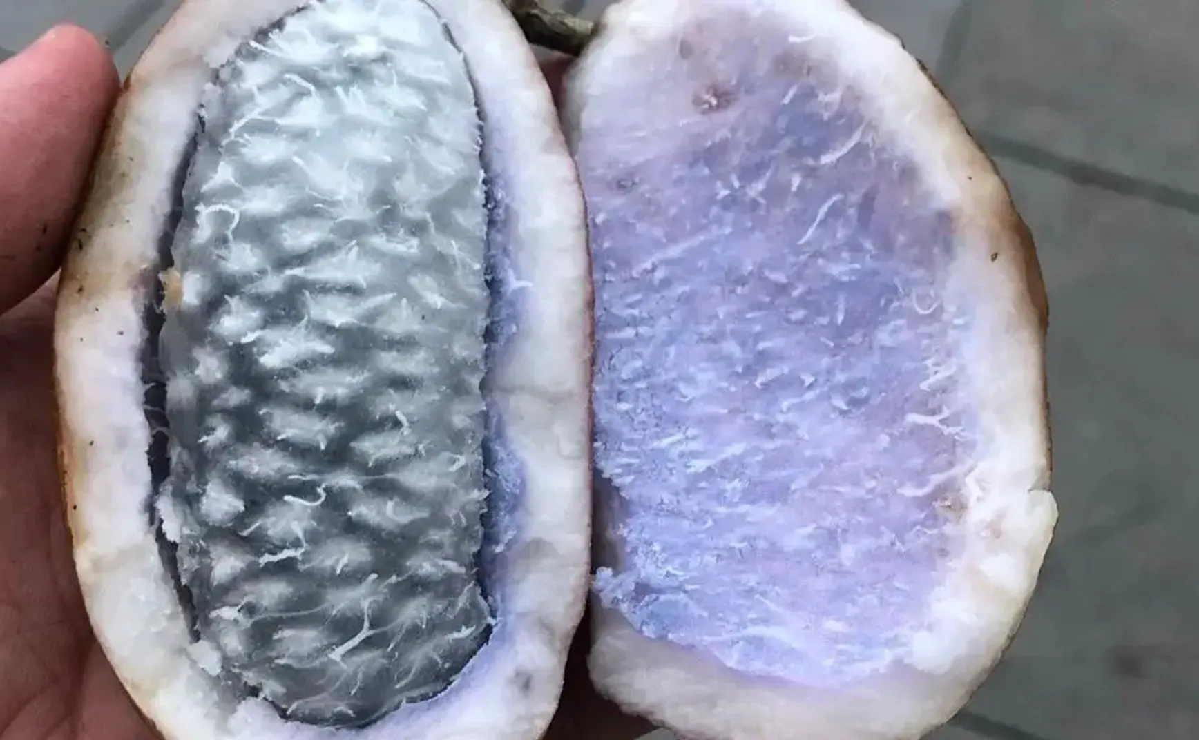 单基因阳性，可能是误检，也可能是病毒变异