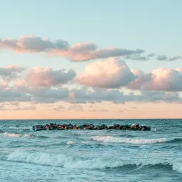 小树学装修 - Mesh 组网