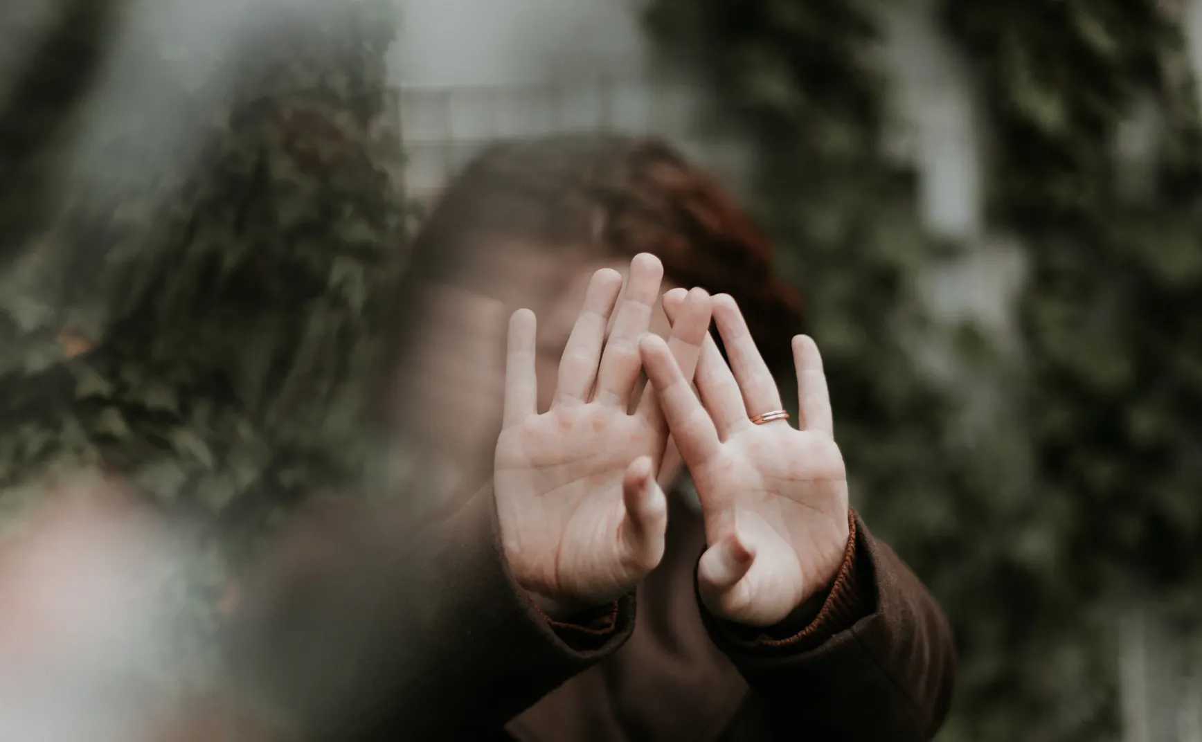 《猫的领地》第7章：防御性前提