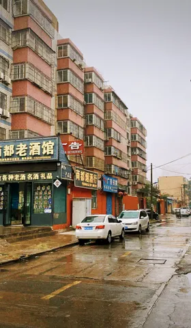 一颗小树 #33 回不去的名字叫家乡