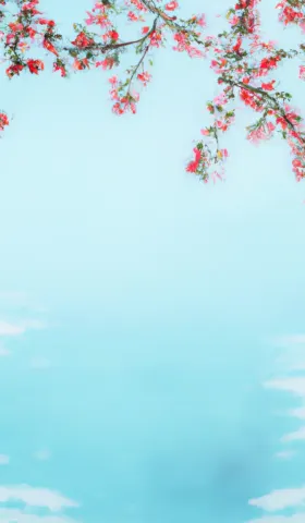 Semi-paranoid #20 Microsoft Designer 试用体验