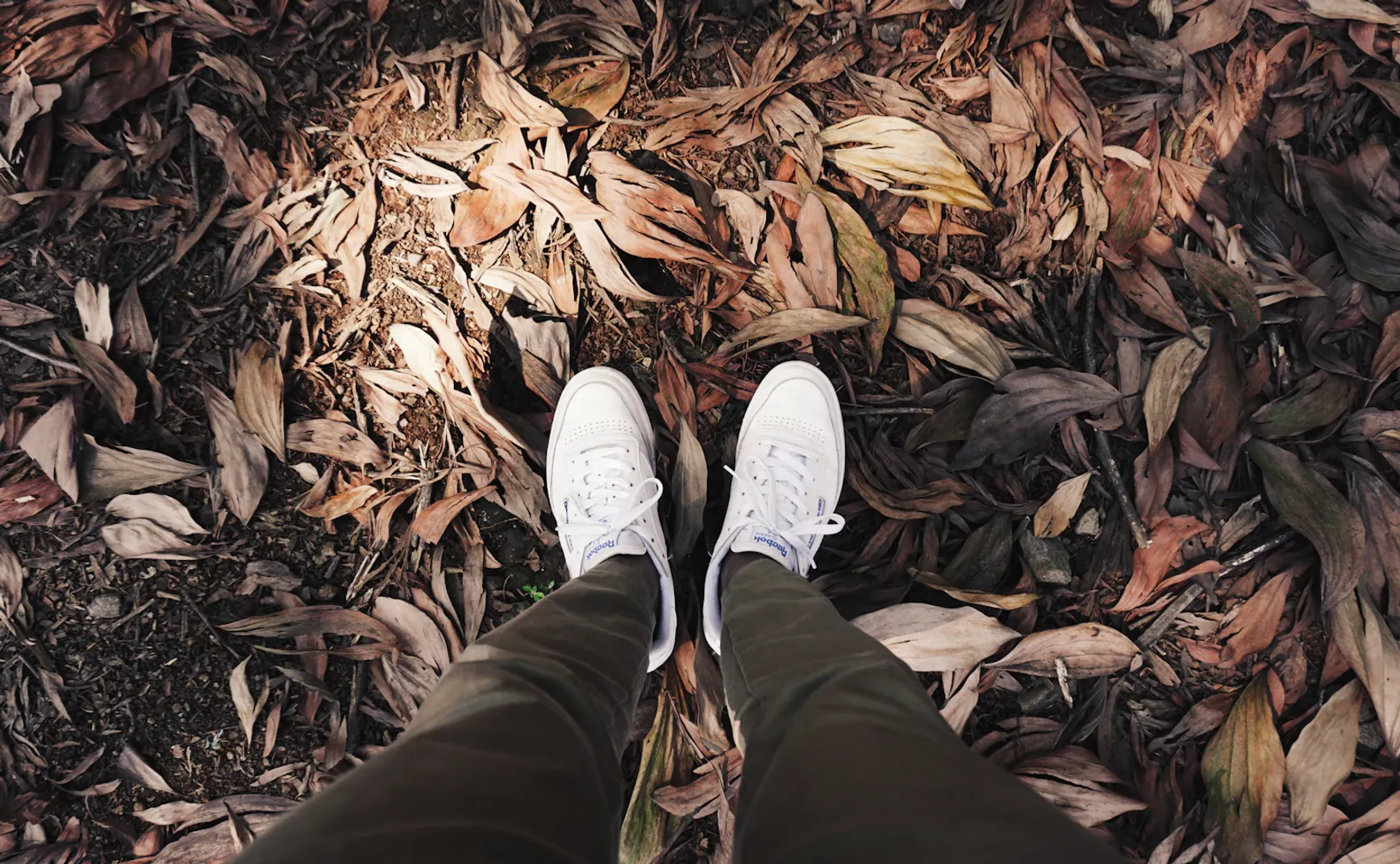 【解讀美股情緒】趁時間沒發覺，讓我帶著你離開 - 20260226