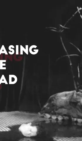 Erasing the Head - Living Symbols podcast
