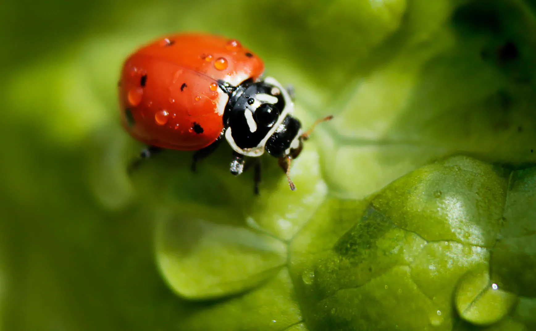 程序员复活手册第四章：漫游“Bug谷”与“变量海”
