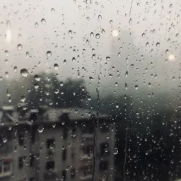 Issue#29 -没有"自我意识"，是我的问题吗？