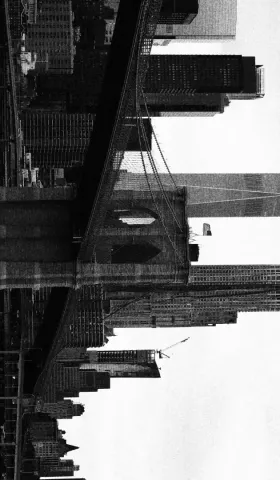 Semi-paranoid #49 曾为纽约客