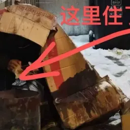 也不知道我是救了一命还是造了孽……